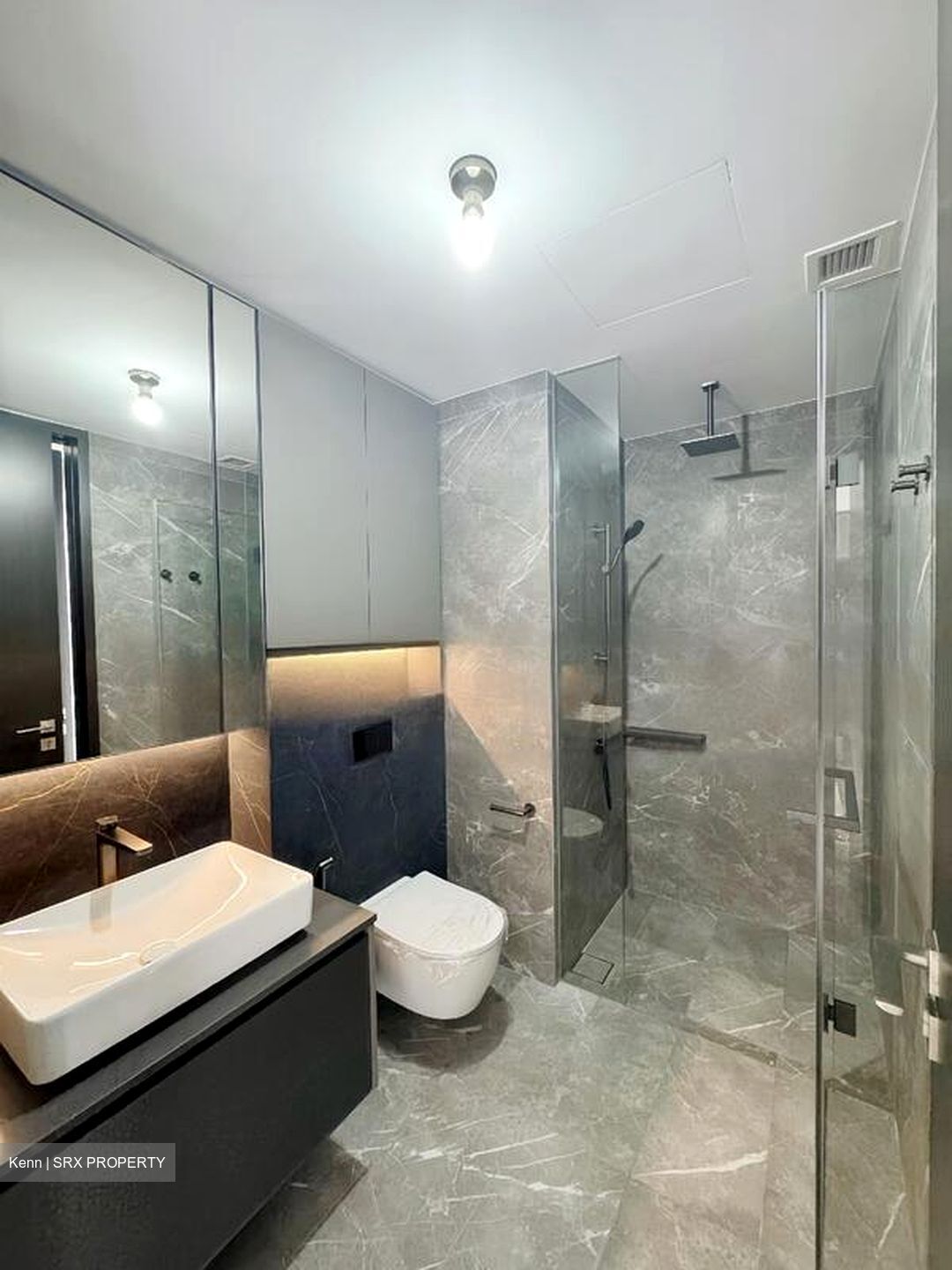 Irwell Hill Residences (D9), Apartment #469344421